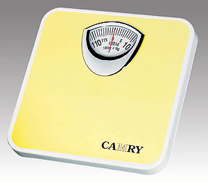 Mechanic Bathroom Scale